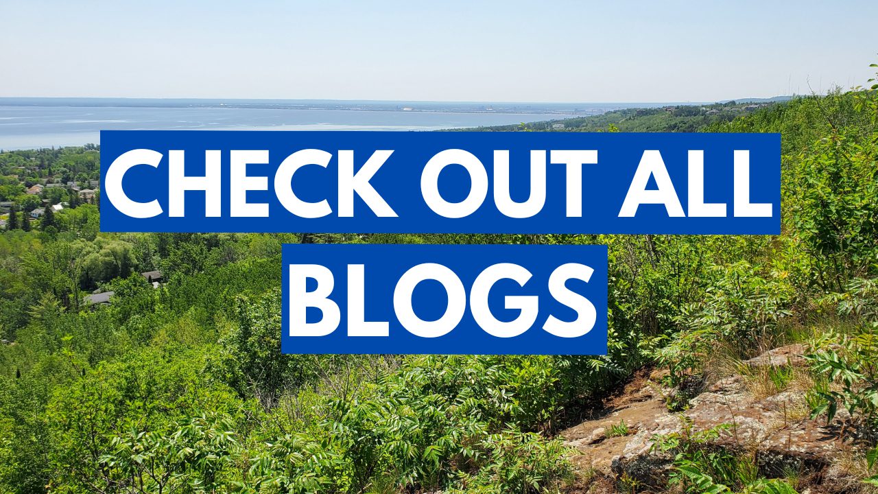 Duluth MN All Blogs Button