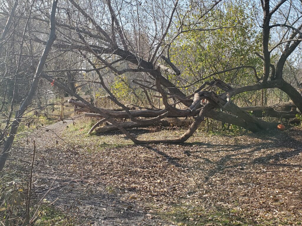 This is Hartley Nature Center in Duluth MN