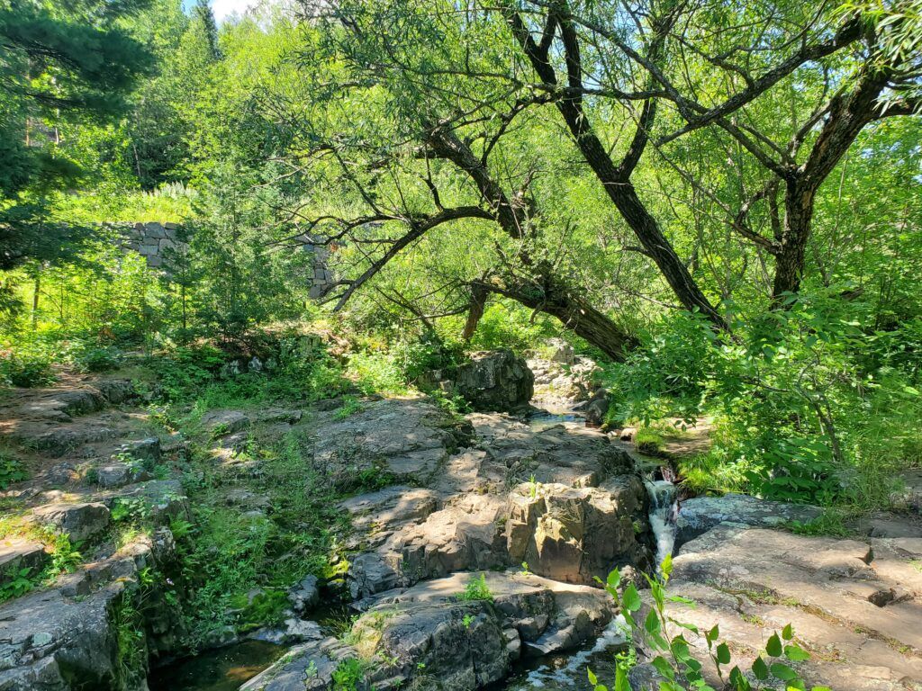 This is Chester Creek in Duluth MN